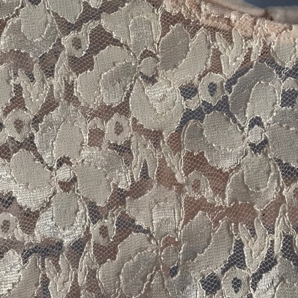 Lace Charlotte Russe Crop Top - Picture 3 of 4